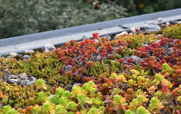 the cost of Old Arley green roof installation